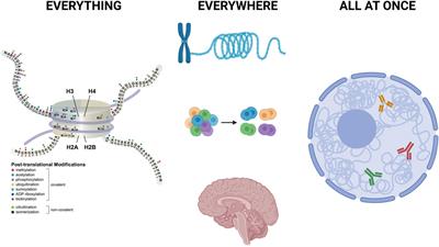Grand challenge in chromatin epigenomics: everything, everywhere, all at once